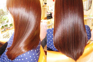 �ߥͥ�륹�ȥ졼�Ȼܽ���