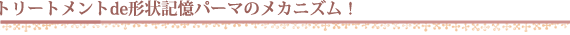 トリートメントde形状記憶パーマのメカニズム！