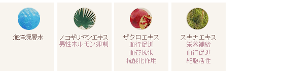 herb essence shampoo�ʥϡ��֥��å��󥹥����ס��˼���ʬ