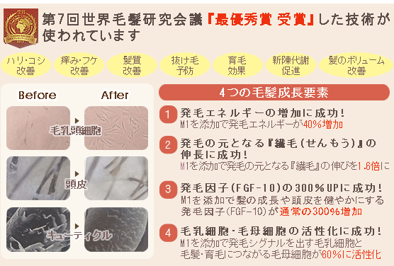 QUALITA' SARAVIO M1 �ʥإ��������������ˤ�����